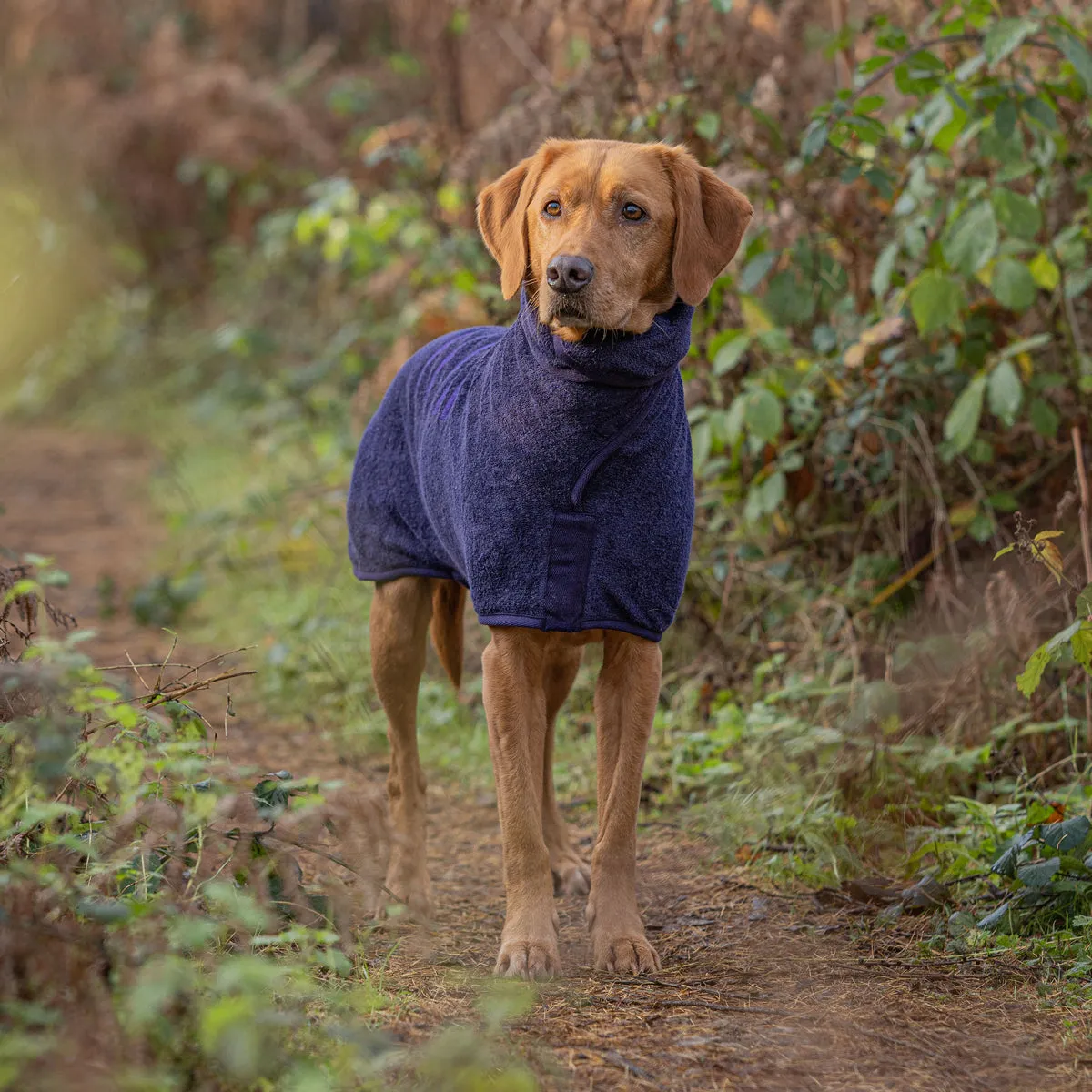 Classic Dog Drying Coat - Blackberry