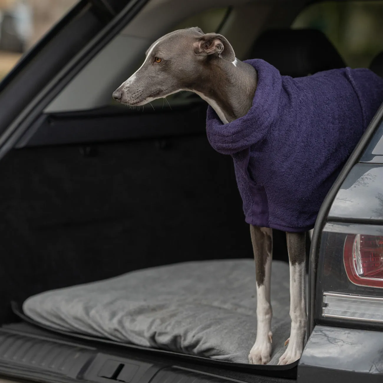 Classic Dog Drying Coat - Blackberry