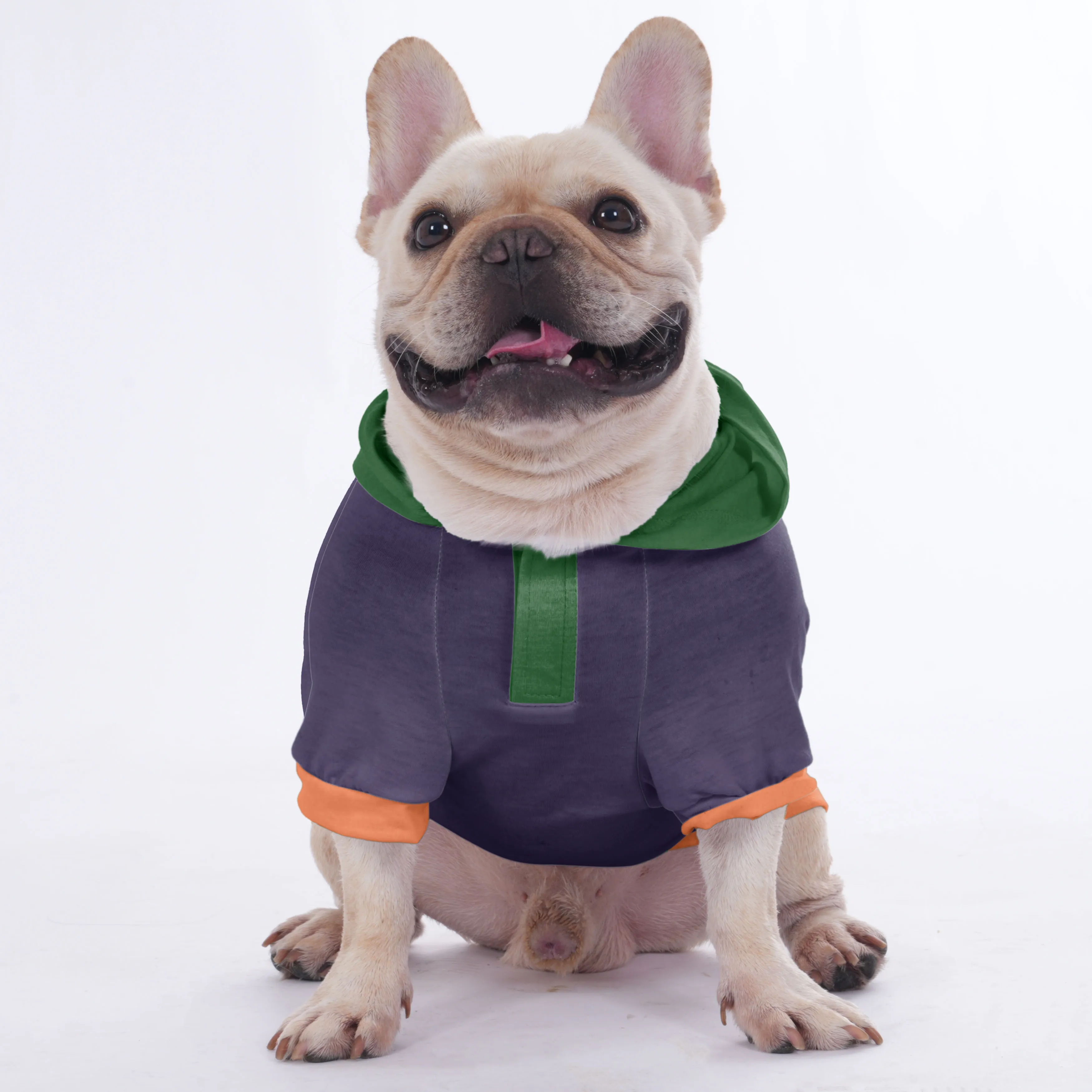 Dover - halloween Hoodies for French Bulldog  | Frenchie Shop Original