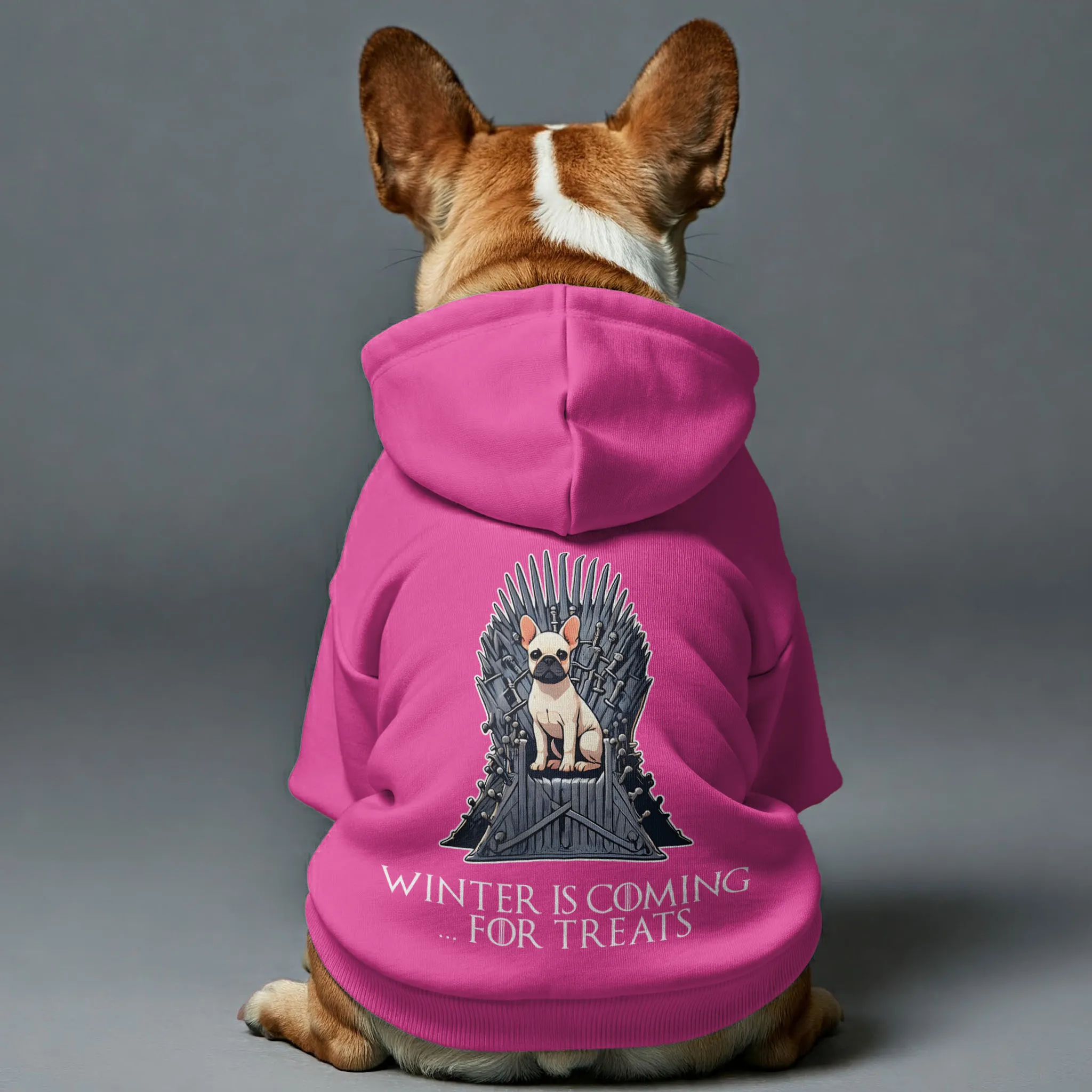 Winter is Coming… for Treats - Personalized French Bulldog Hoodies with Funny Quotes – Stylish, Cozy, and Premium 100% Cotton